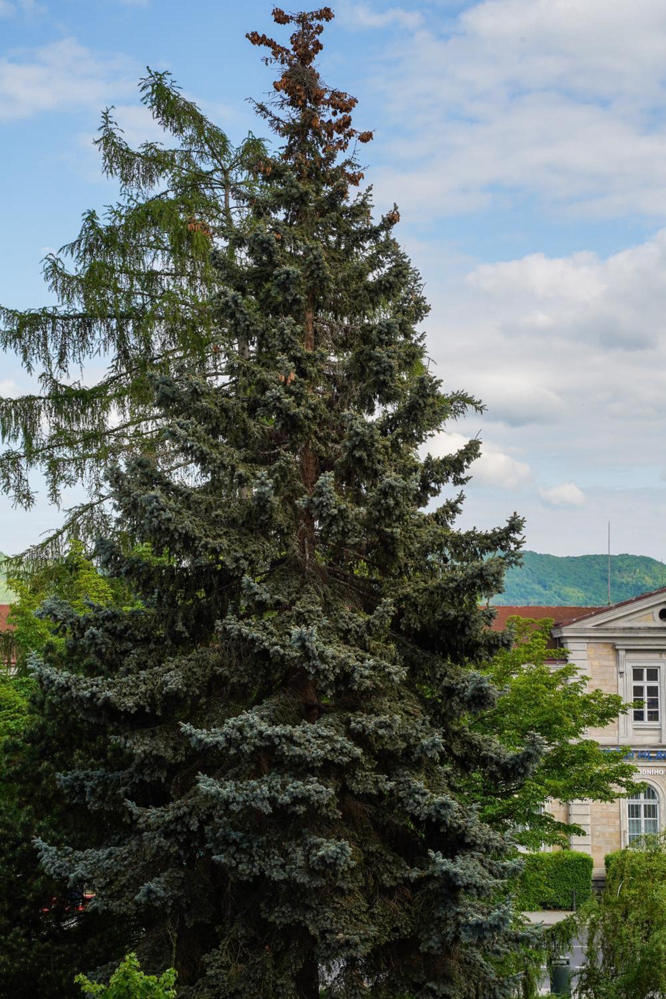 K-haus Hostel